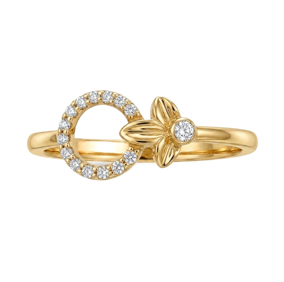 ANILLO T6